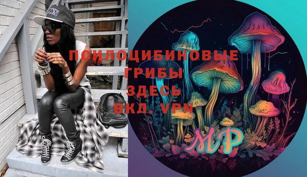 МДПВ Алексин