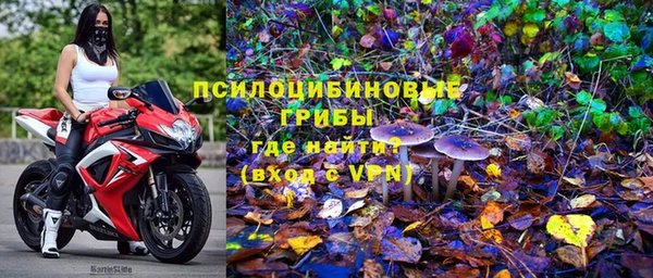 МДПВ Алексин