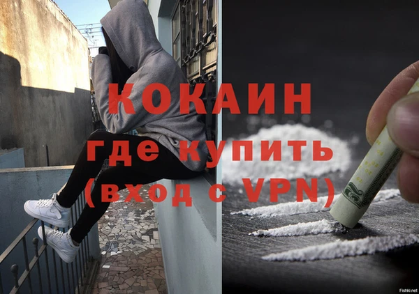 МДПВ Алексин